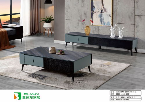 變色龍家居二十六載以初心致匠心 以不變應(yīng)萬變